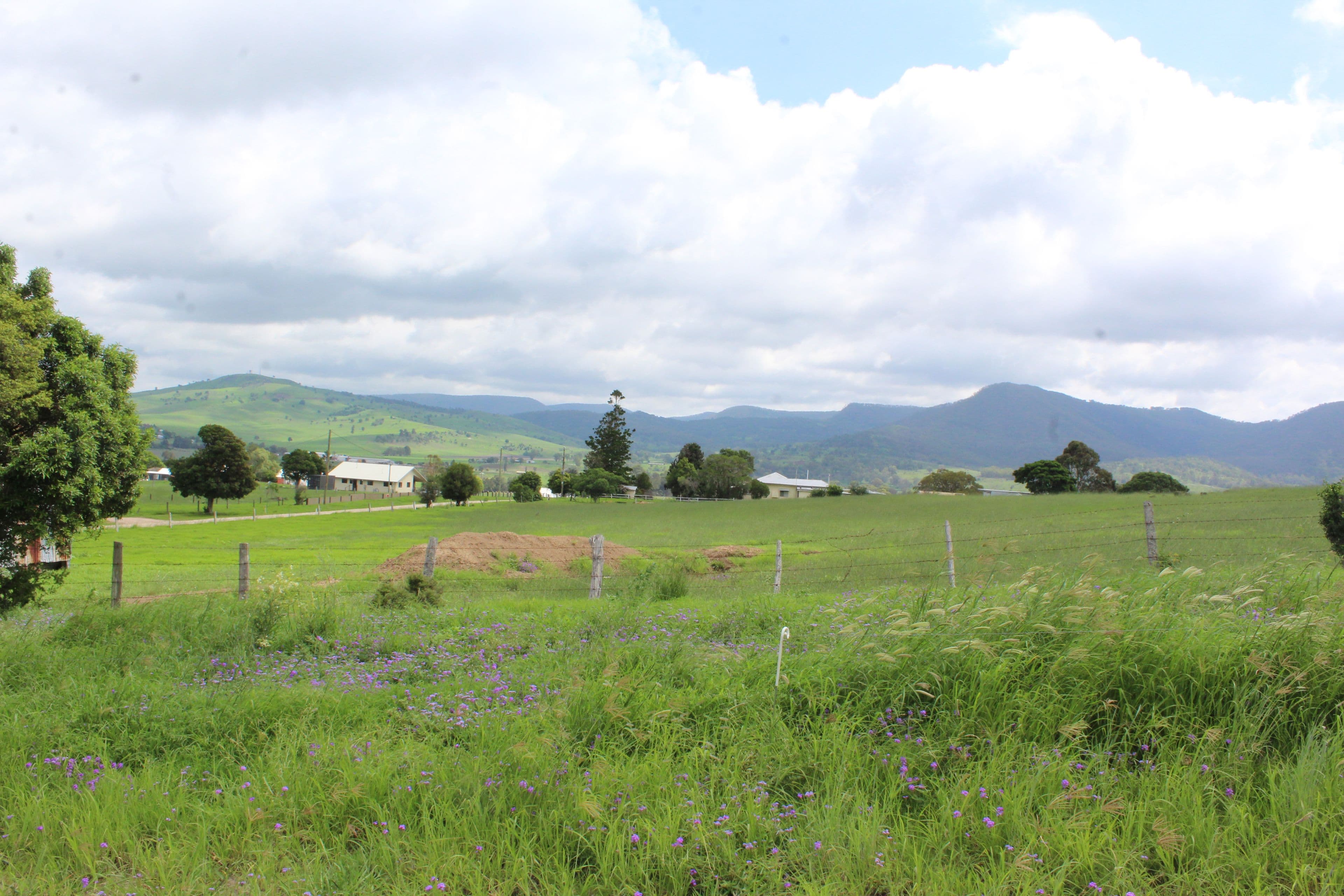 Lots 12,13,14 Rose Street, Killarney QLD 4373, Killarney - Thumbnail 2