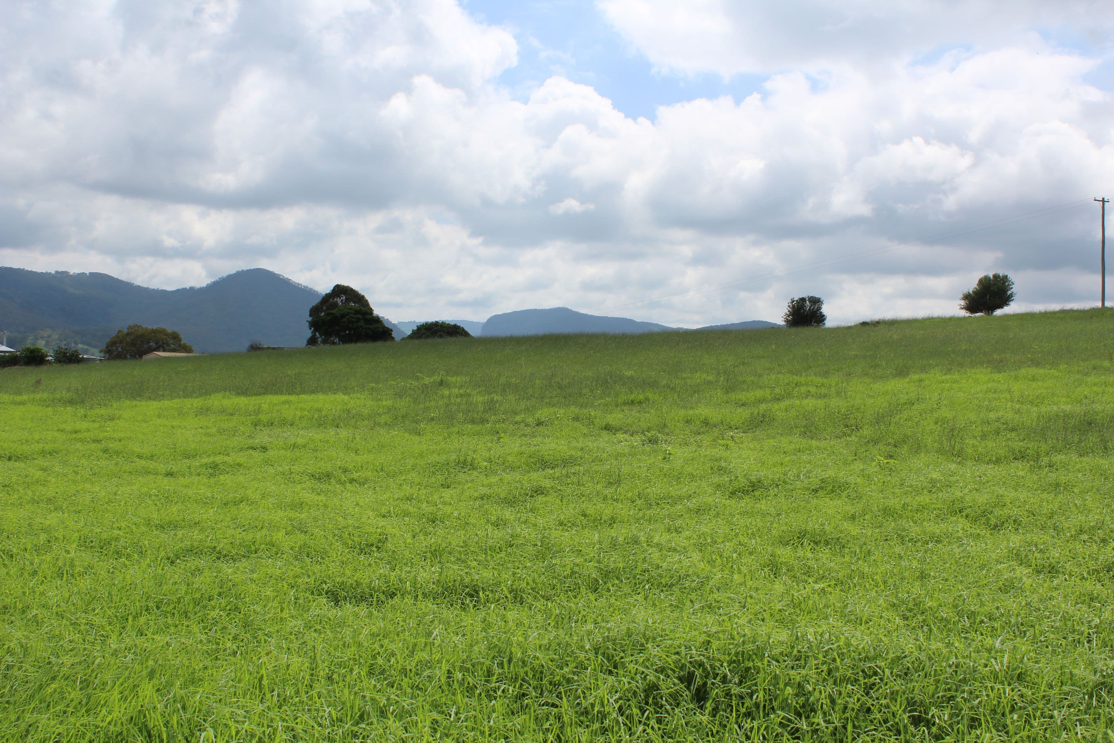 Lots 12,13,14 Rose Street, Killarney QLD 4373, Killarney - Thumbnail 3