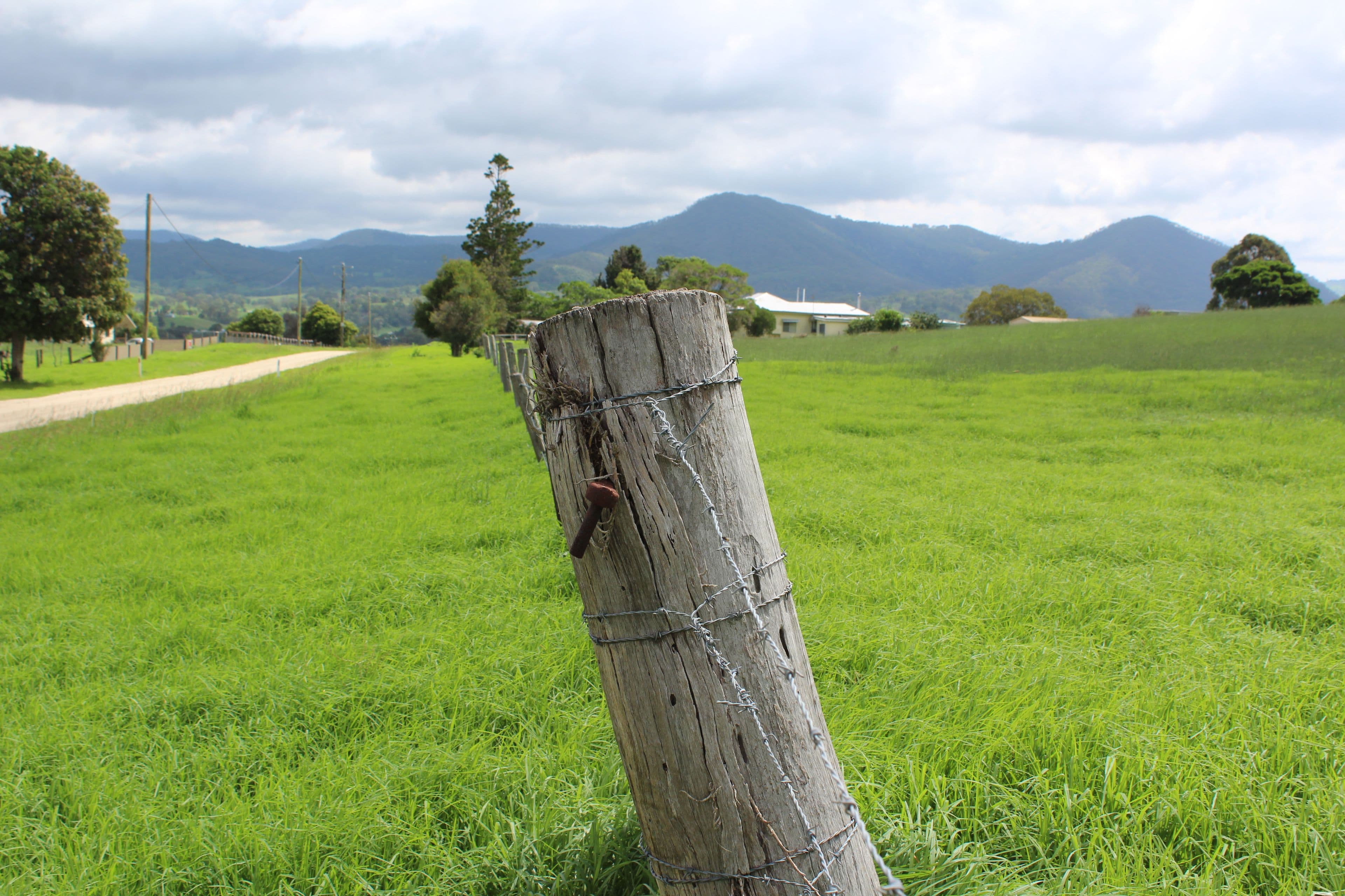 Lots 12,13,14 Rose Street, Killarney QLD 4373, Killarney - Thumbnail 4