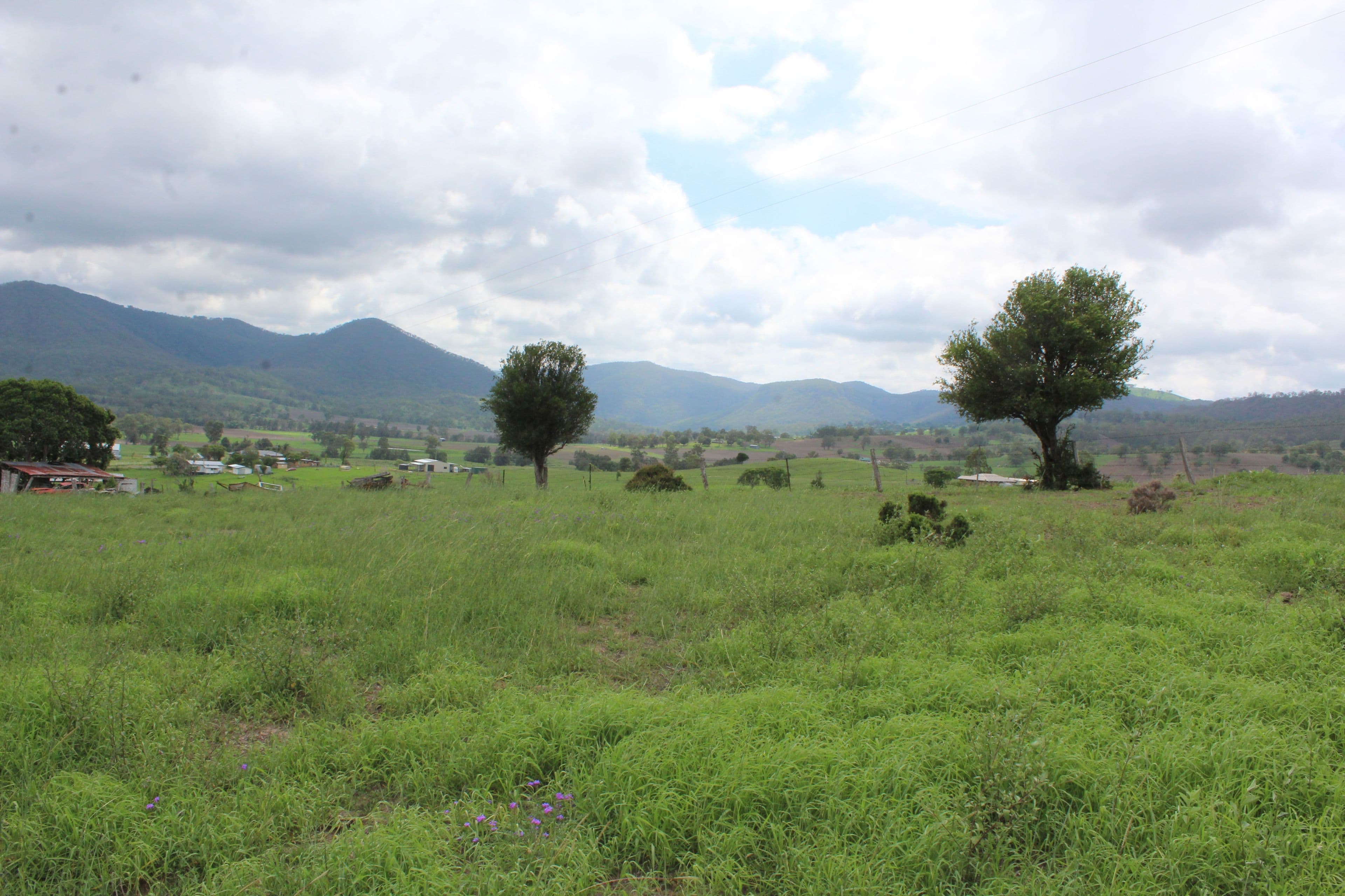 Lots 12,13,14 Rose Street, Killarney QLD 4373, Killarney - Thumbnail 7