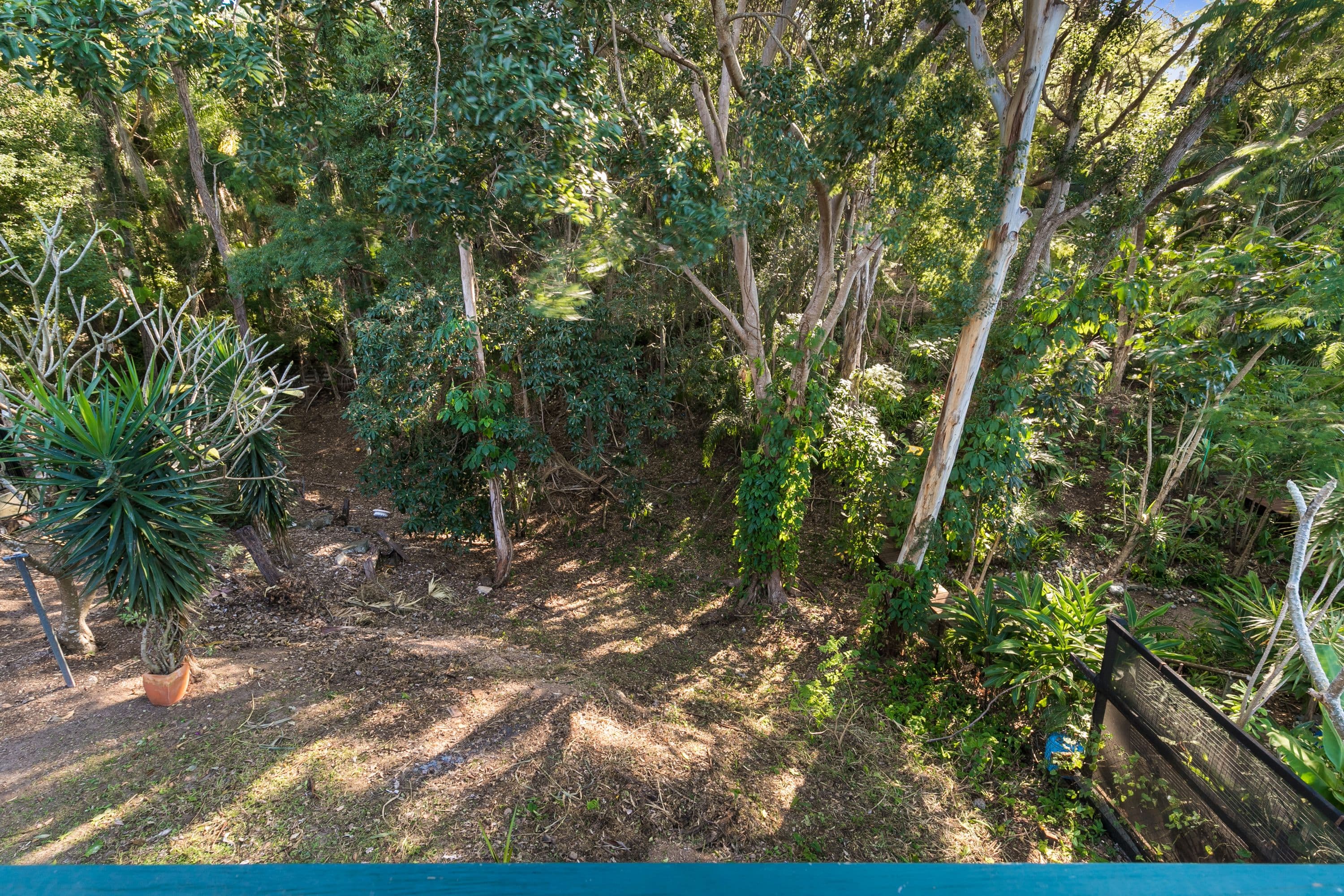 51A Marmion Parade, Taringa QLD 4068, Taringa - Thumbnail 5