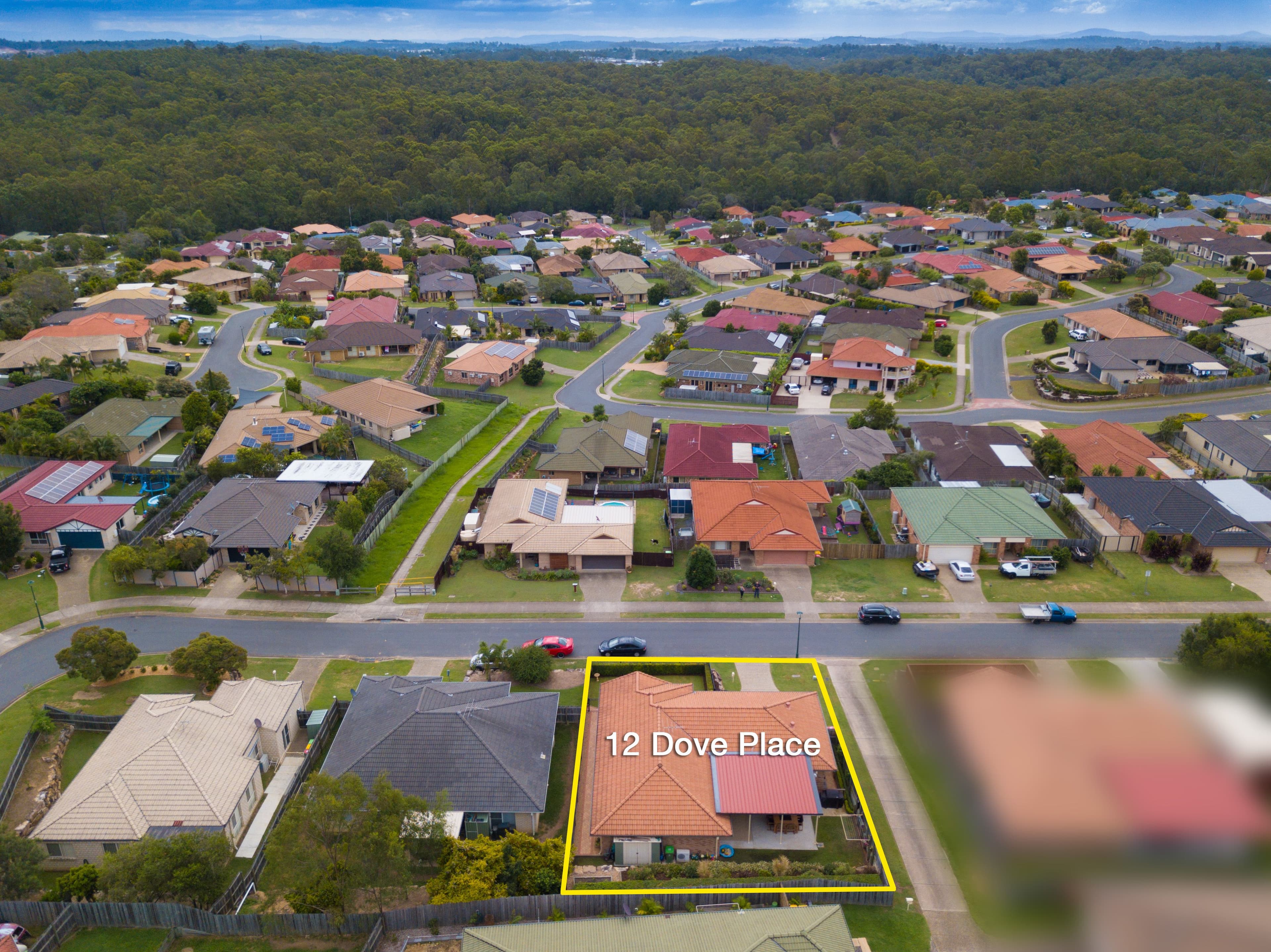 12 Dove Place, Springfield QLD 4300, Springfield - Thumbnail 4