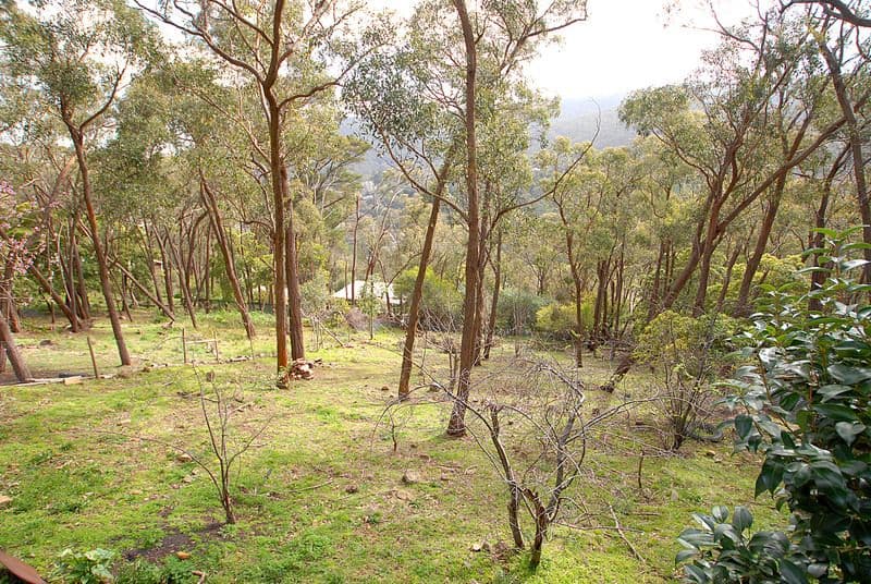 21 Highcliff Road, UPWEY VIC 3158, Upwey - Thumbnail 7