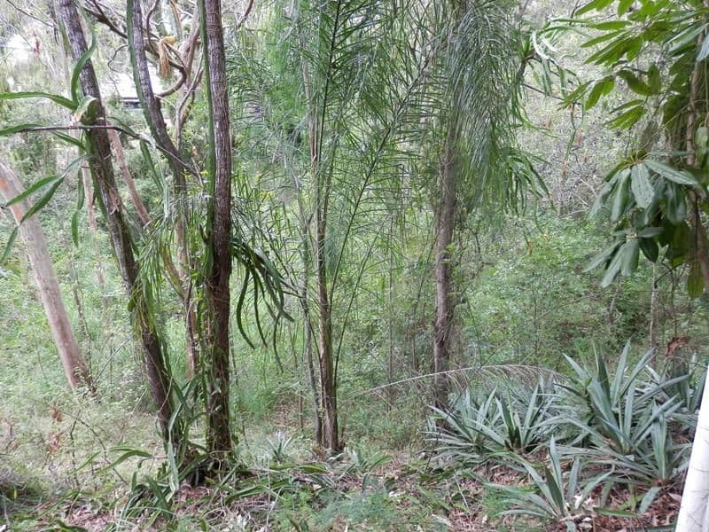 14 Hawthorne Street, SADLIERS CROSSING QLD 4305, Sadliers Crossing - Thumbnail 4