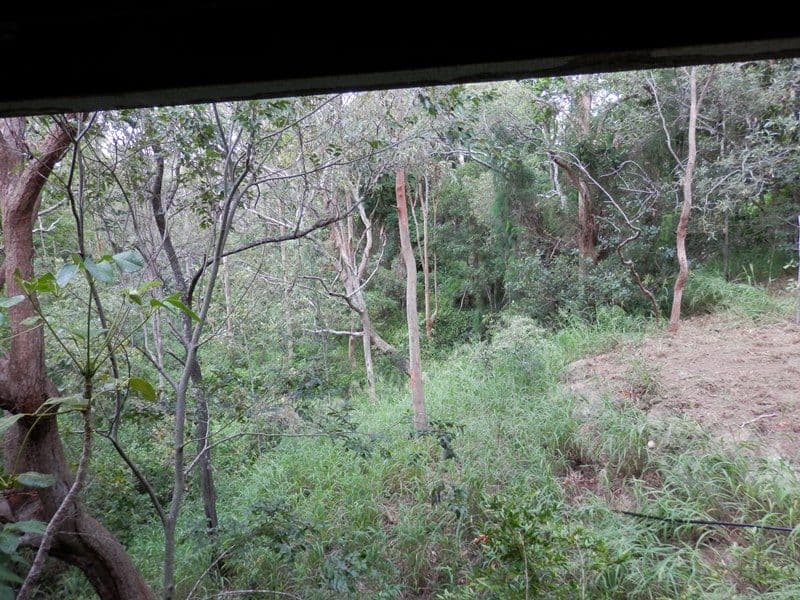 14 Hawthorne Street, SADLIERS CROSSING QLD 4305, Sadliers Crossing - Thumbnail 5