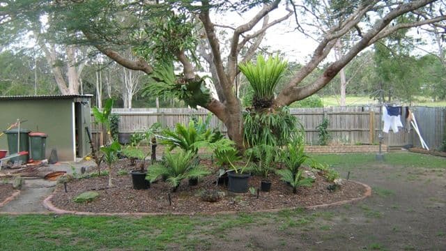 15 King Street, WATERFORD WEST QLD 4133, Waterford West - Thumbnail 5