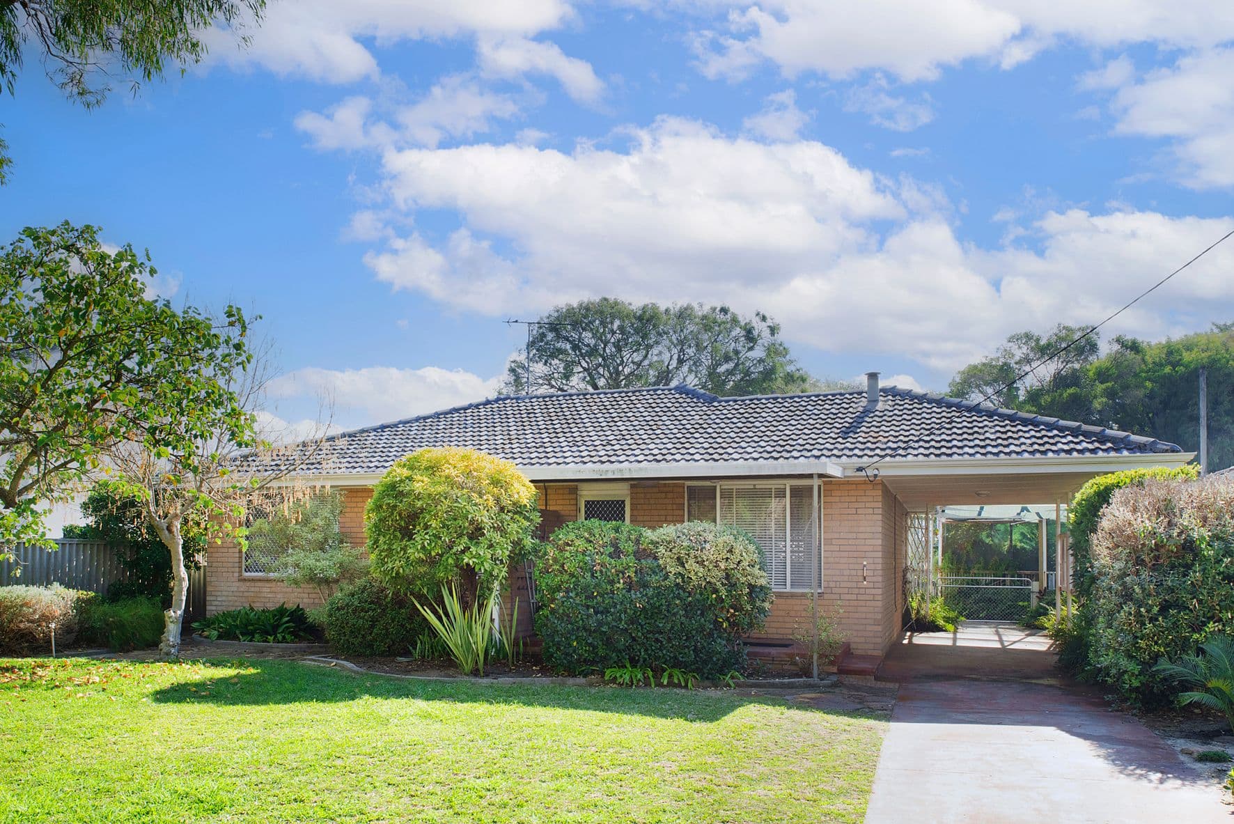 3 Derek Street, West Busselton WA 6280, West Busselton - Thumbnail 3
