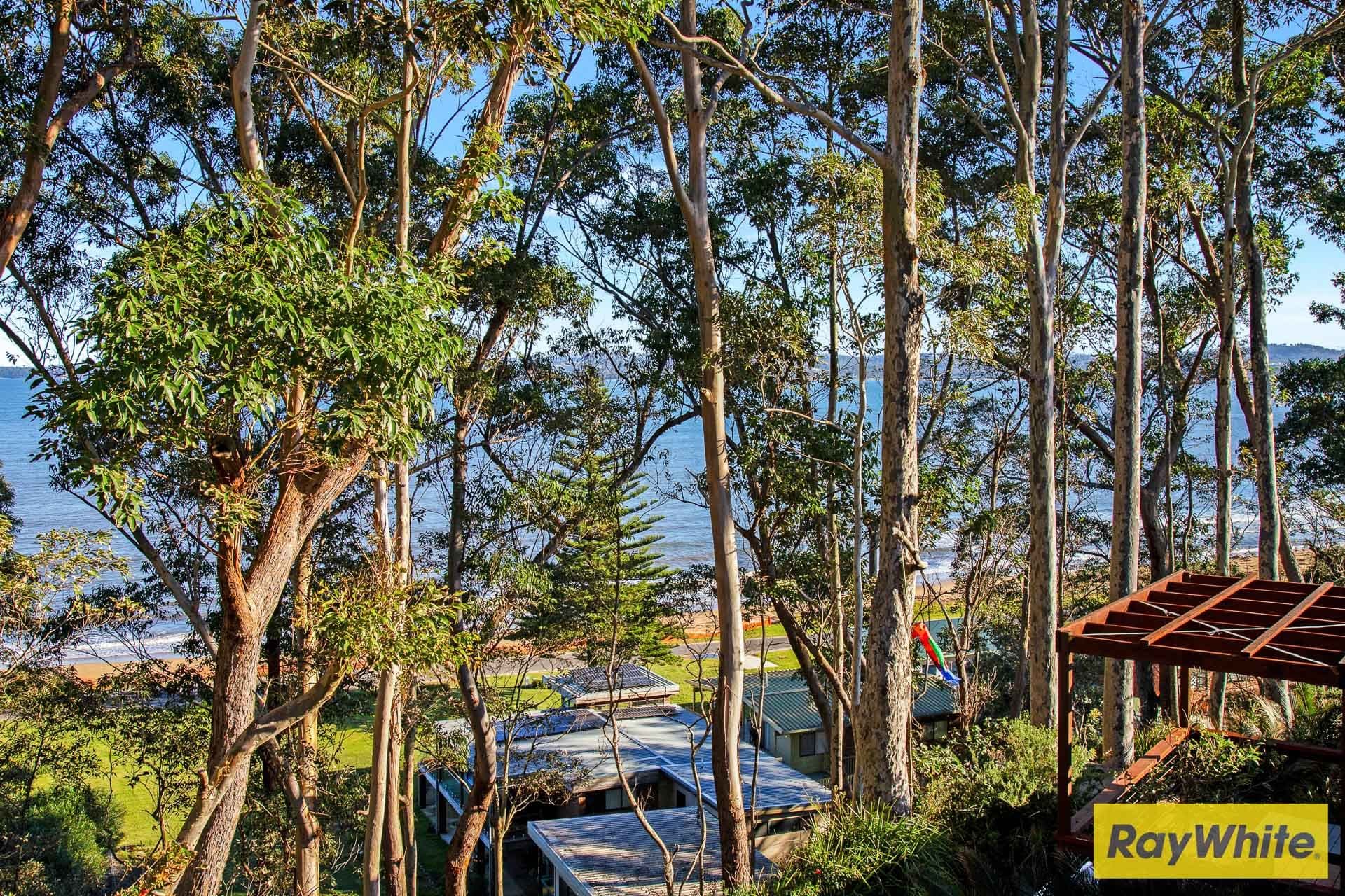 9 Tollgate Place, Long Beach NSW 2536, Long Beach - Thumbnail 5