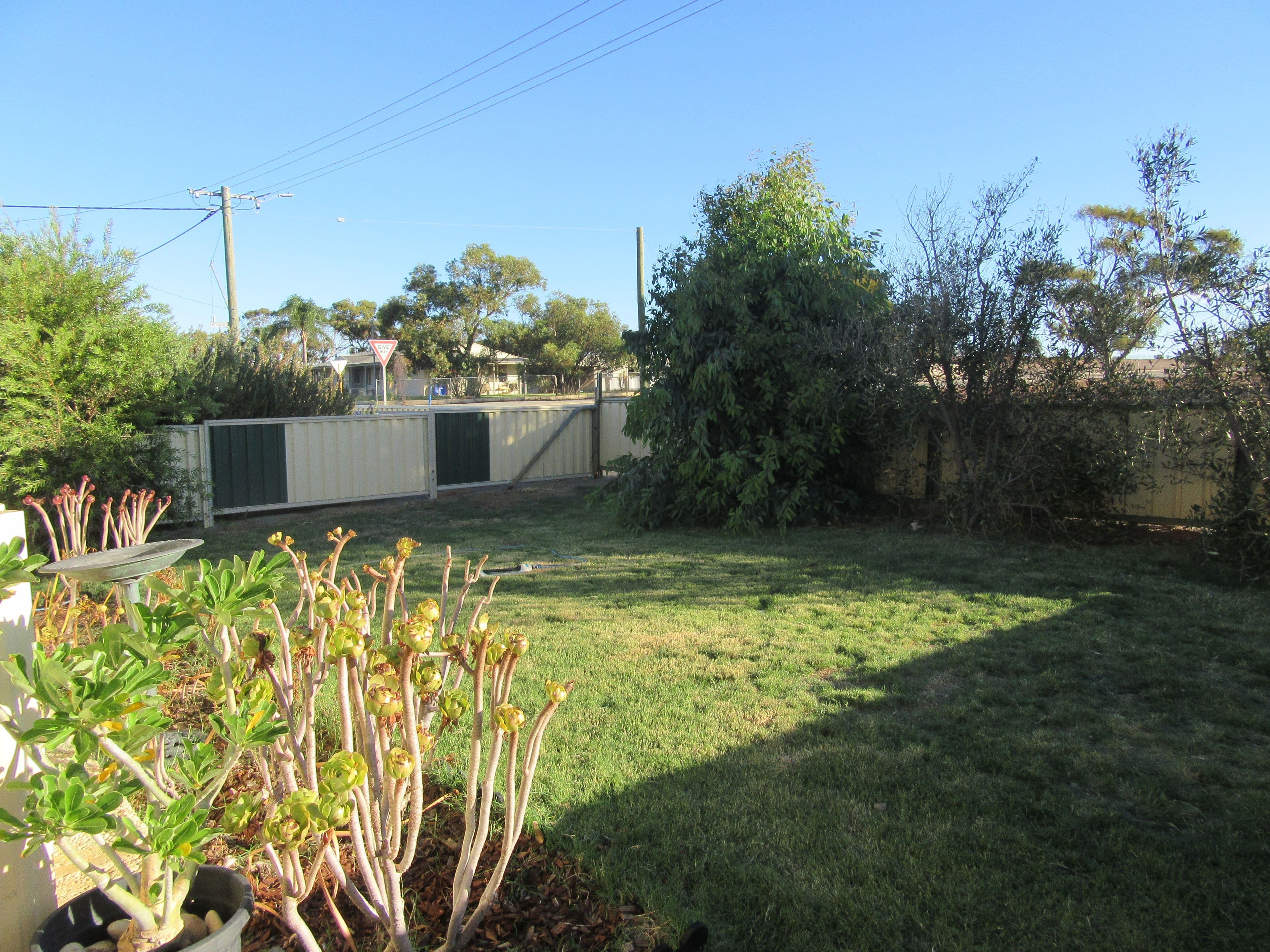 40 Slater Street, Carnamah WA 6517, Carnamah - Thumbnail 3