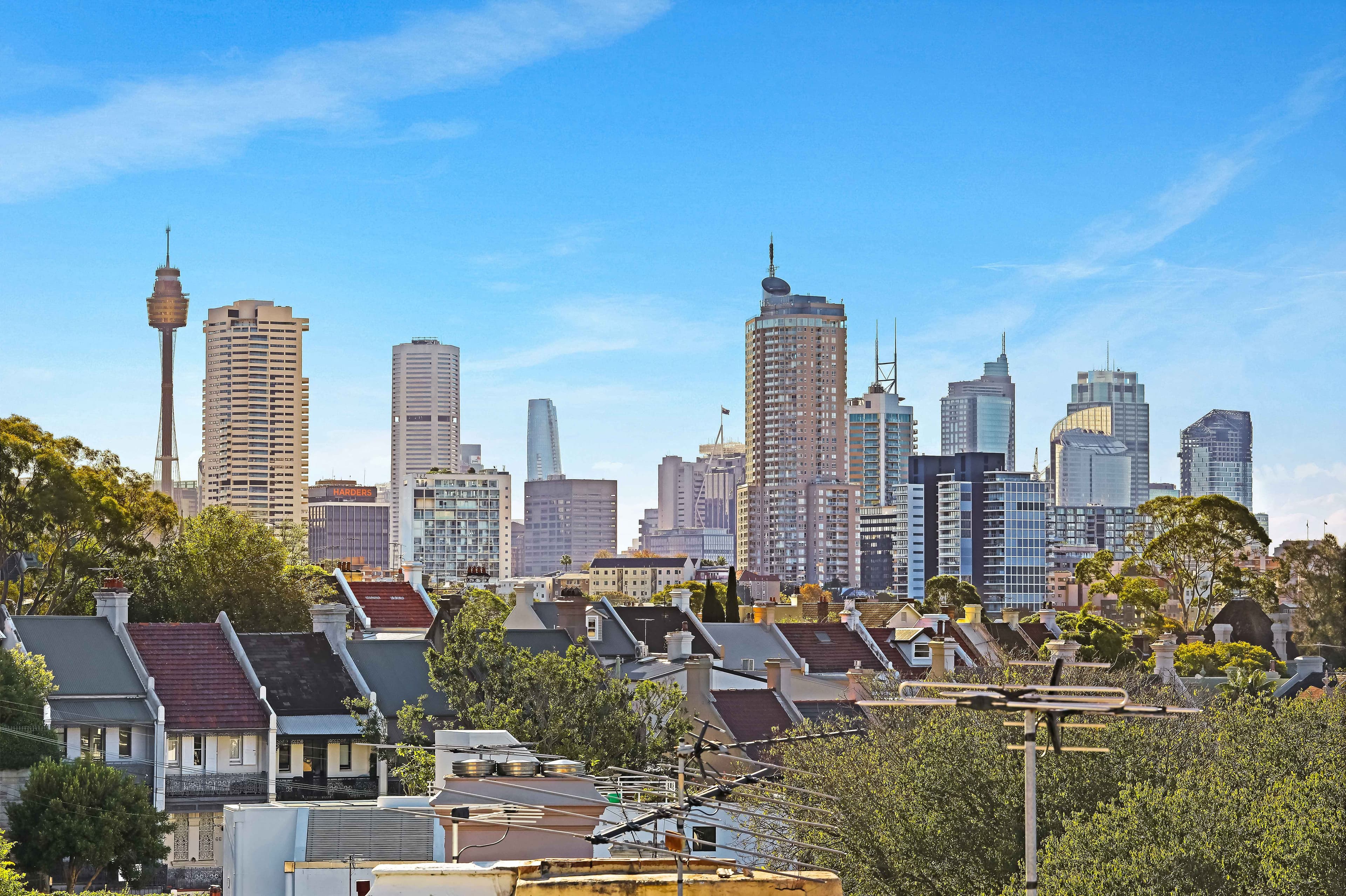59 Hargrave Sreet, Paddington NSW 2021, Paddington - Image 1