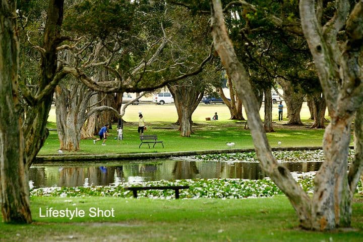141-147 Cook Road, CENTENNIAL PARK NSW 2021, Centennial Park - Thumbnail 3