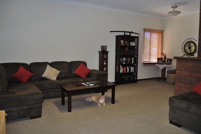 50 Blanche Street, GOSNELLS WA 6110, Gosnells - Image 1