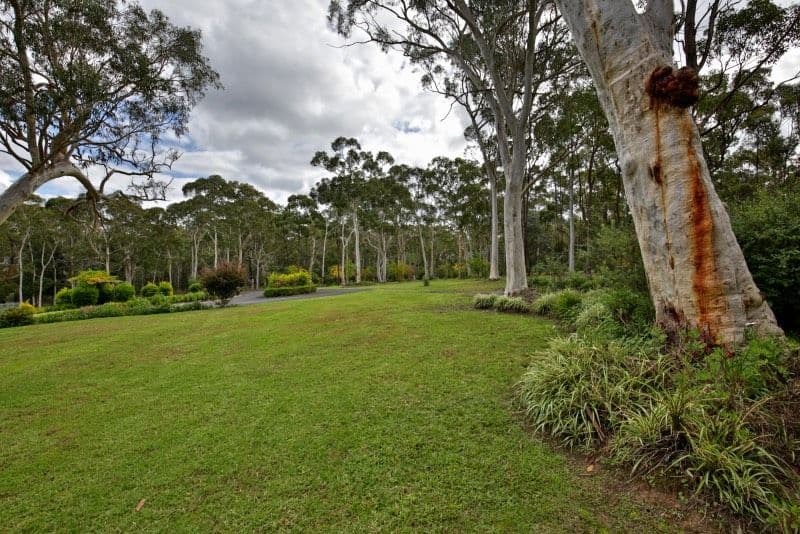 99 Gypsy Point Road, Bangalee - Thumbnail 2