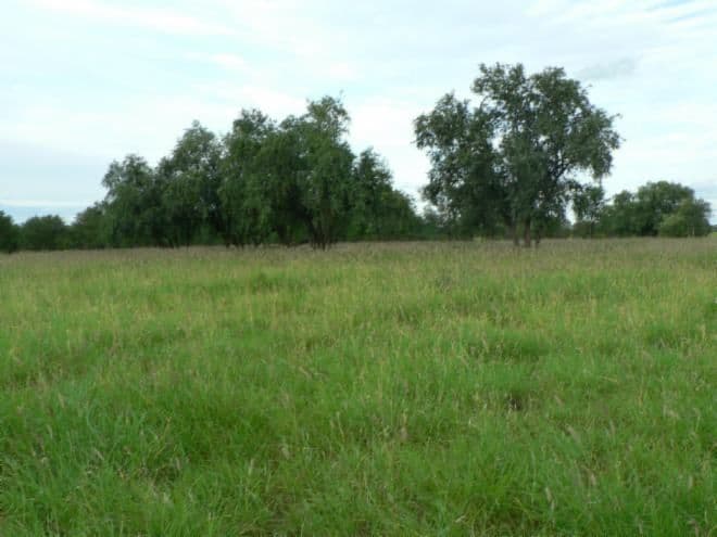 Lot 10 Frames Lane, BLACKALL QLD 4472, Blackall - Thumbnail 3