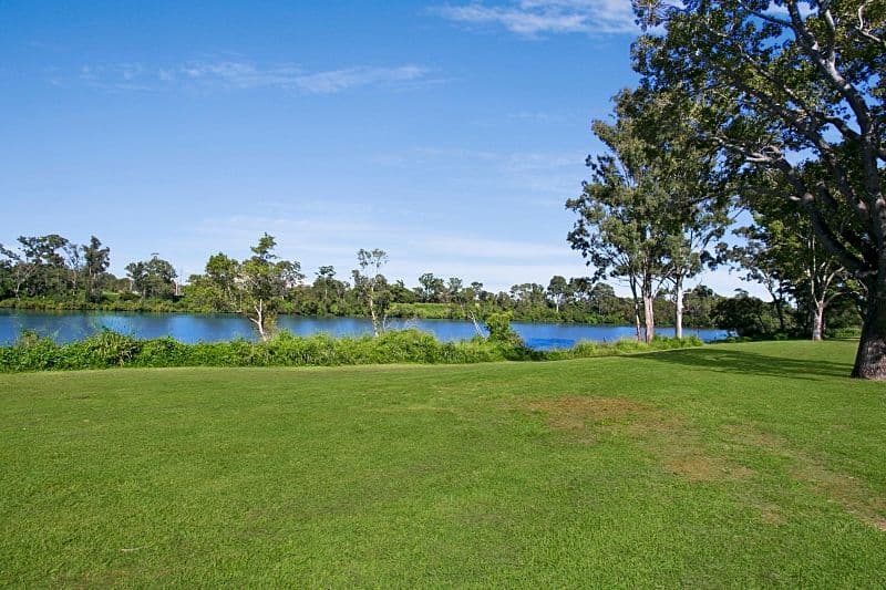 39 Anita Street, Yeronga QLD 4104, Yeronga - Thumbnail 6