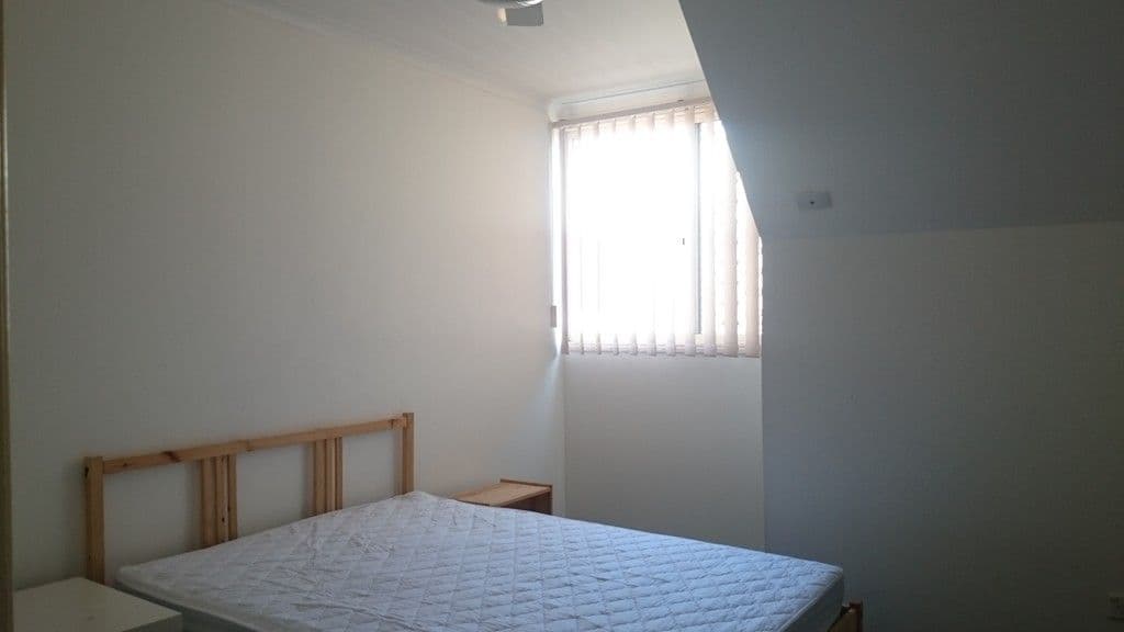 33 Baden Powell Street, Maroochydore QLD 4558, Maroochydore - Thumbnail 5