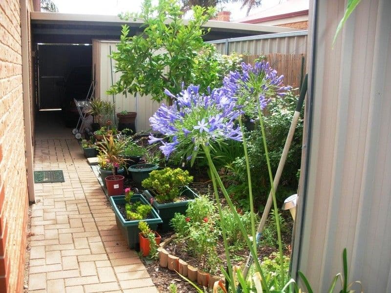 9 Rusticana Court, MILDURA VIC 3500, Mildura - Thumbnail 2