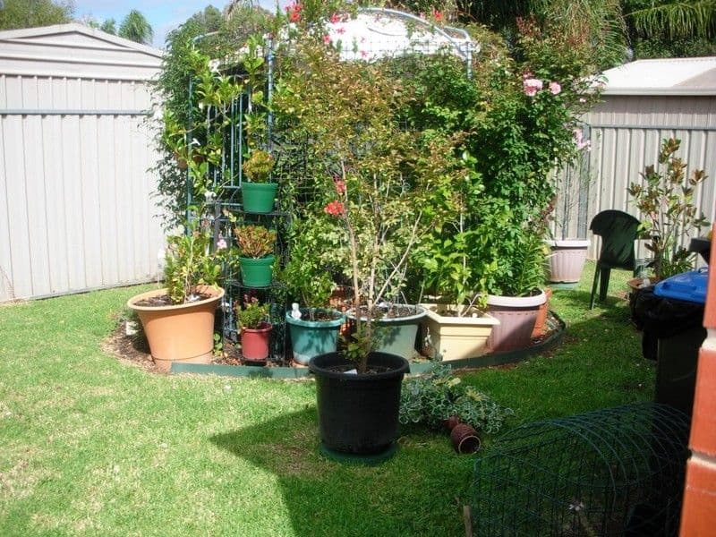 9 Rusticana Court, MILDURA VIC 3500, Mildura - Thumbnail 5