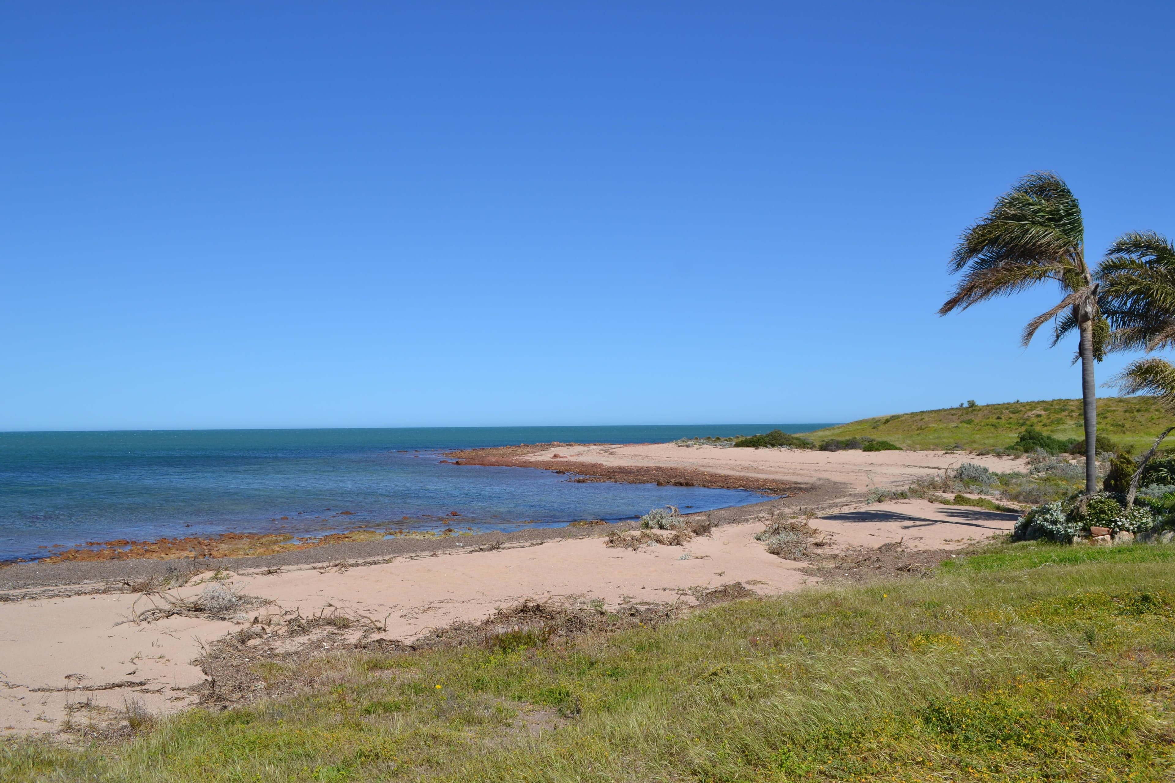 1 Tern Court, North Beach SA 5556, North Beach - Thumbnail 4