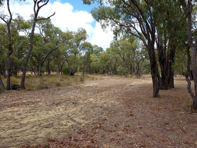 199 Jess Road, BULLSBROOK WA 6084, Bullsbrook - Thumbnail 3