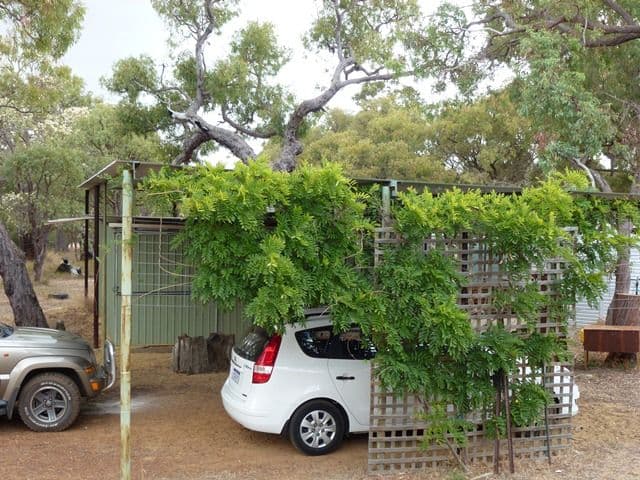199 Jess Road, BULLSBROOK WA 6084, Bullsbrook - Thumbnail 7