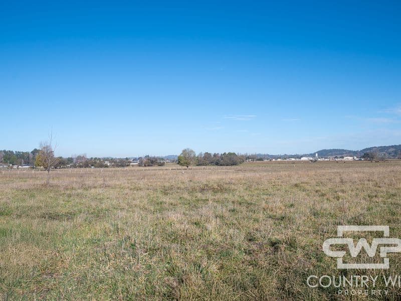 500 Grey Street, Glen Innes, Glen Innes - Thumbnail 3