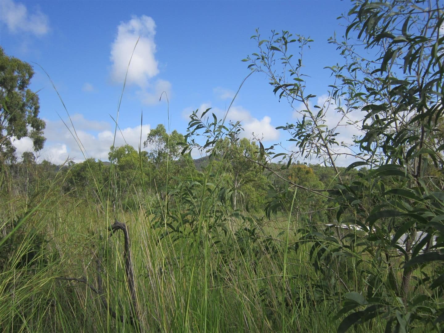 Lot 2, 24 Whitely Street, Mount Morgan QLD 4714, Mount Morgan - Image 1