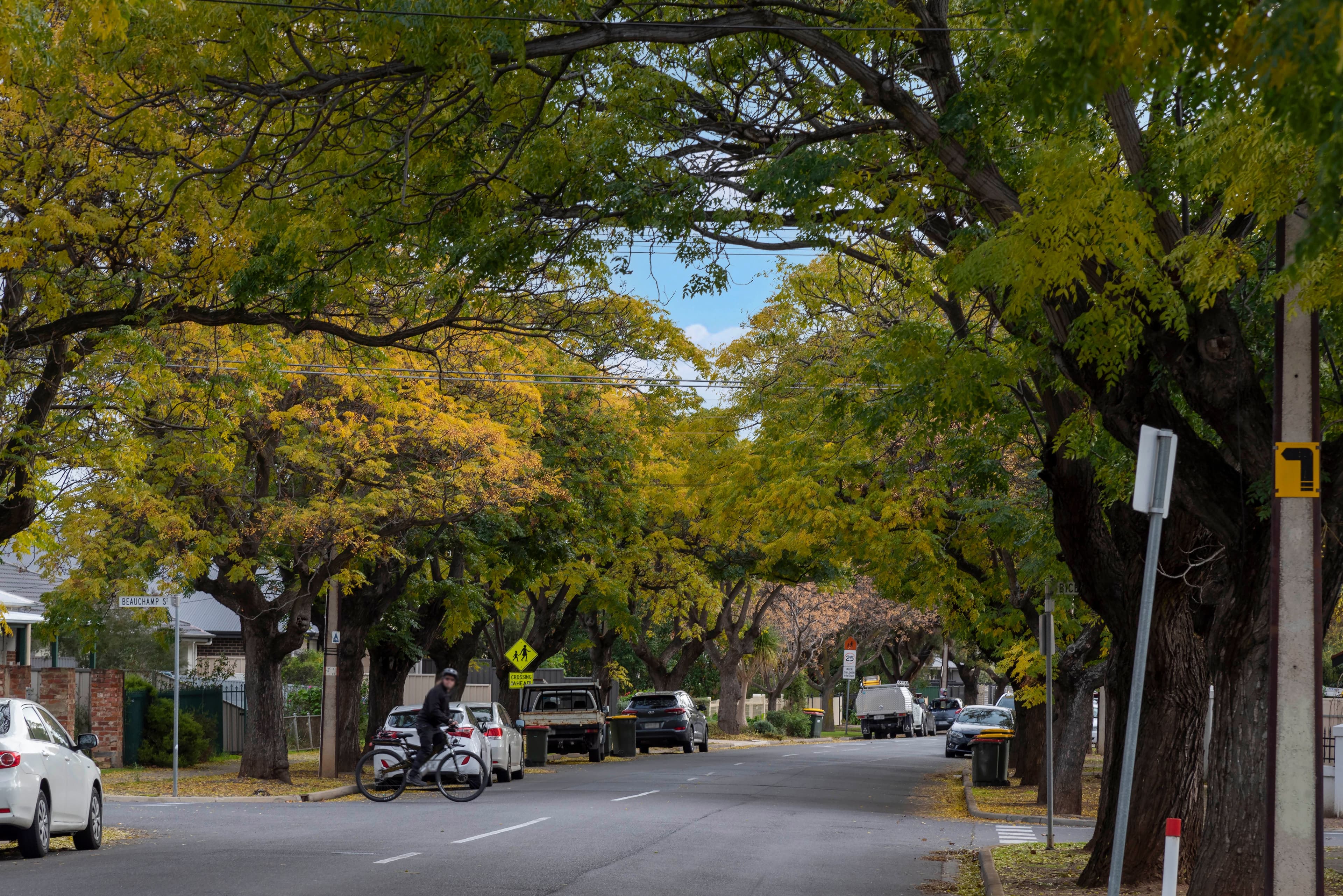 4-6 Barwell Avenue, Kurralta Park SA 5037, Kurralta Park - Thumbnail 3