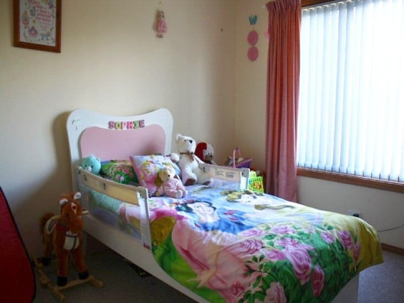 3 Bega Street, WOLUMLA NSW 2550, Wolumla - Thumbnail 7