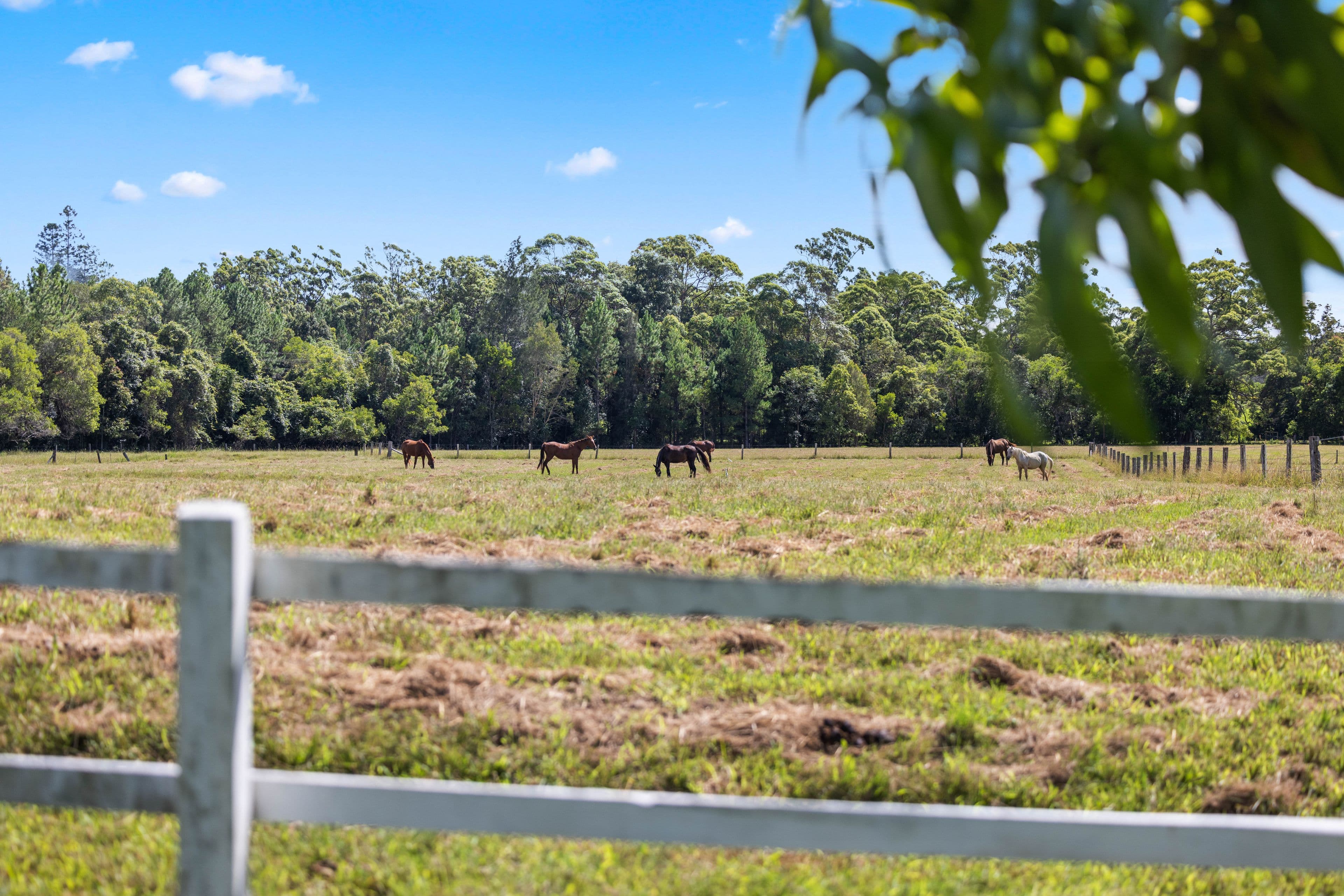 71 Ferntree Creek Road, Kulangoor QLD 4560, Kulangoor - Thumbnail 6