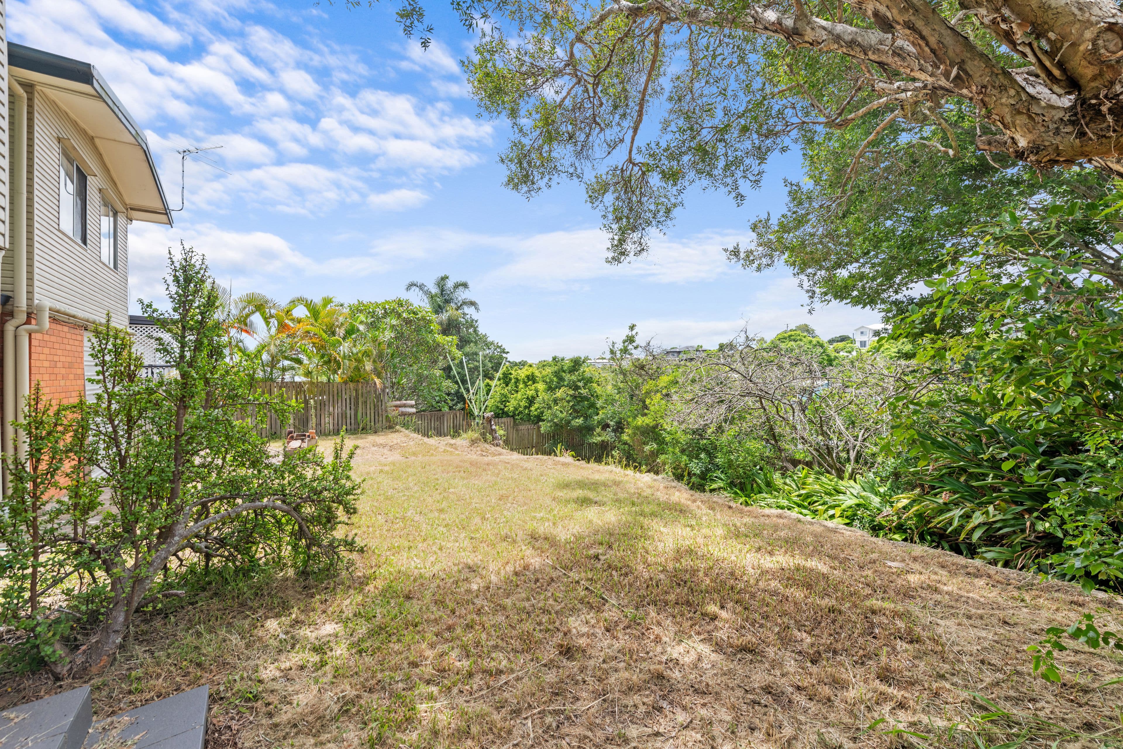 56 North Street, Kedron QLD 4031, Kedron - Thumbnail 8