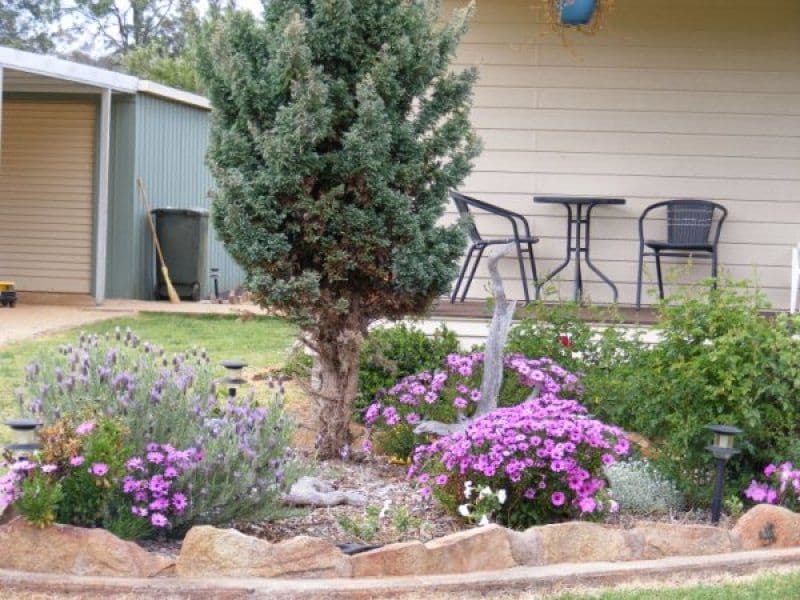 5 Hansdale Lane, GILGAI NSW 2360, Gilgai - Thumbnail 4