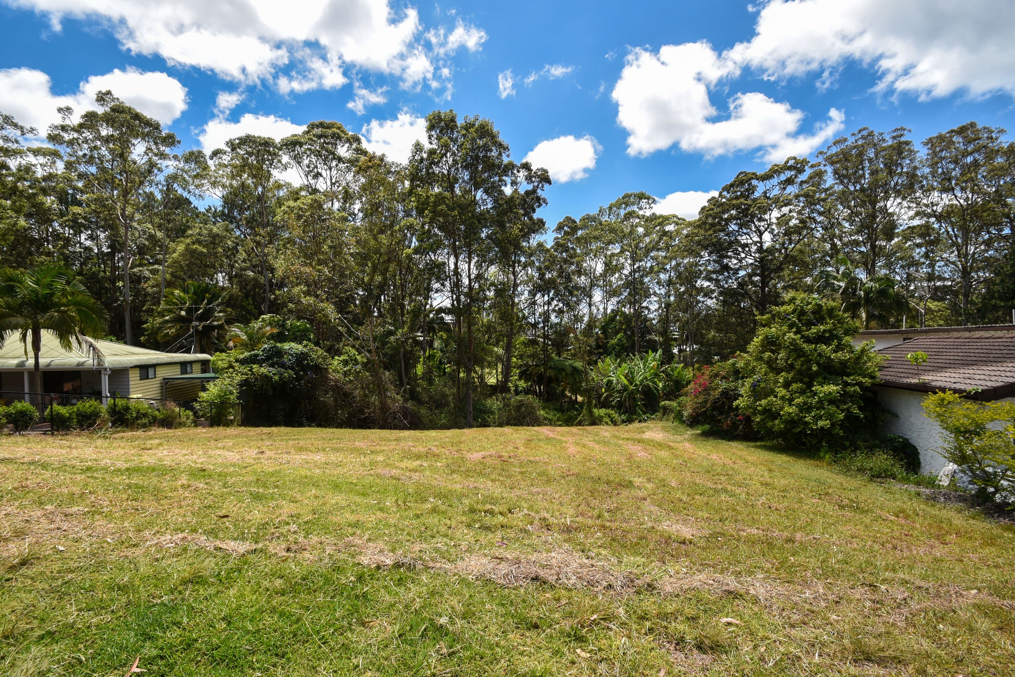 119 Kinabalu Drive, Tamborine Mountain QLD 4272, Tamborine Mountain - Thumbnail 3