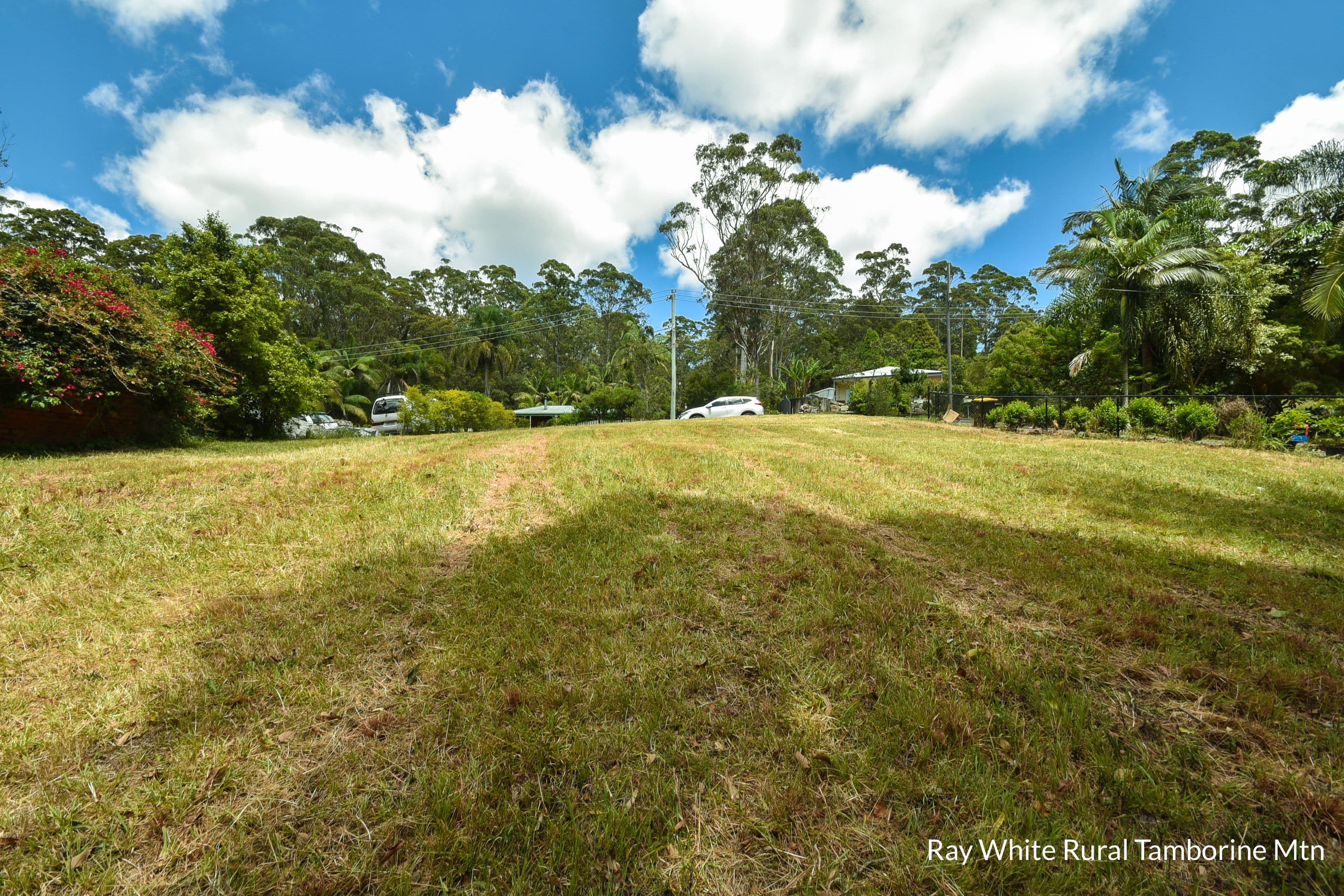 119 Kinabalu Drive, Tamborine Mountain QLD 4272, Tamborine Mountain - Thumbnail 4