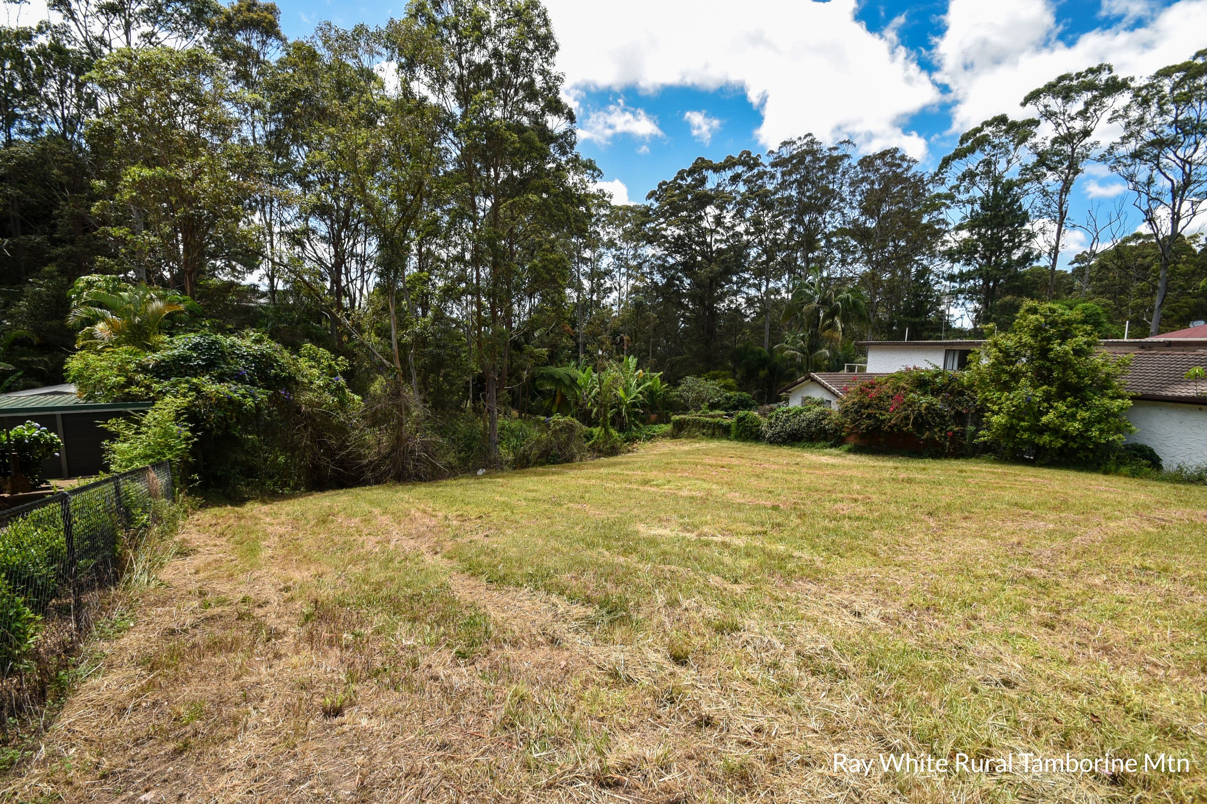119 Kinabalu Drive, Tamborine Mountain QLD 4272, Tamborine Mountain - Thumbnail 5