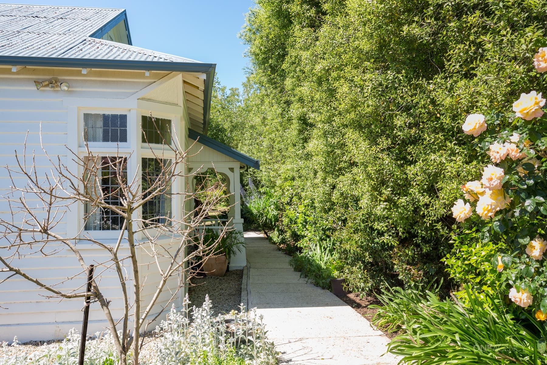 4 Hart Street, Newstead, Newstead - Thumbnail 2