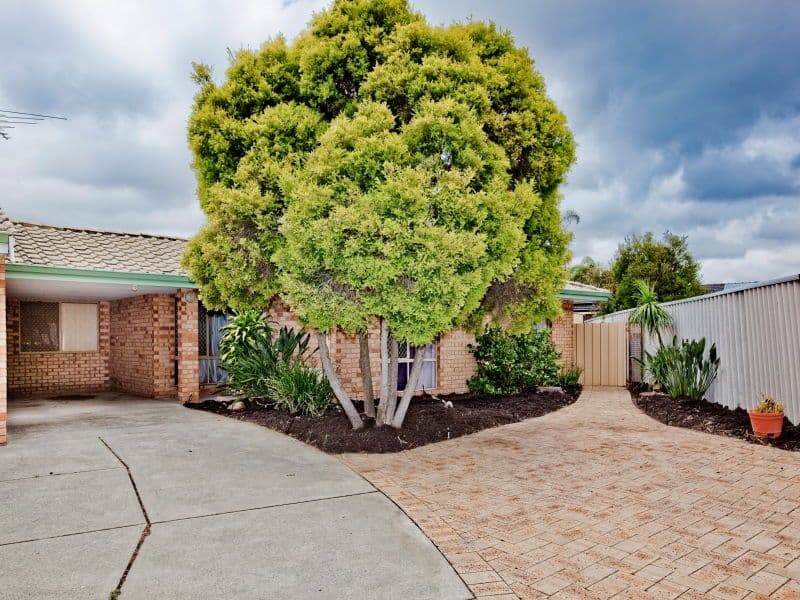14B Beam Court, MORLEY WA 6062, Morley - Thumbnail 2