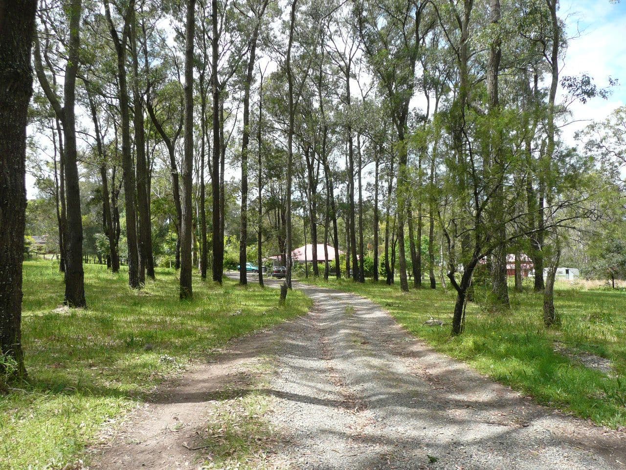 78 Ironbark Road, Morisset NSW 2264, Morisset - Thumbnail 4