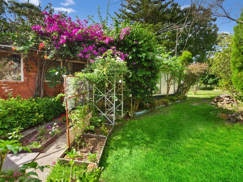 41 Paxton Street, FRENCHS FOREST NSW 2086, Frenchs Forest - Image 1