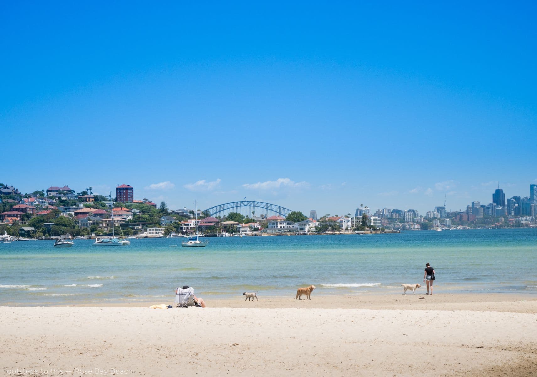 Rose Bay NSW 2029, Rose Bay - Thumbnail 4