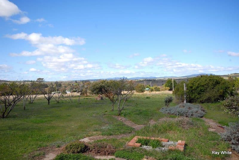 102 Sale Yard Lane, BRAIDWOOD NSW 2622, Braidwood - Thumbnail 4