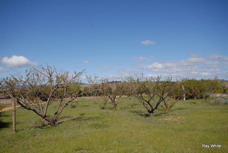 102 Sale Yard Lane, BRAIDWOOD NSW 2622, Braidwood - Thumbnail 8