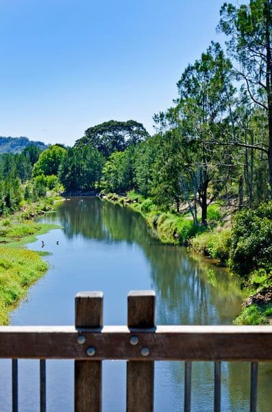 4 Creek Way, CURRUMBIN VALLEY QLD 4223, Currumbin Valley - Thumbnail 2