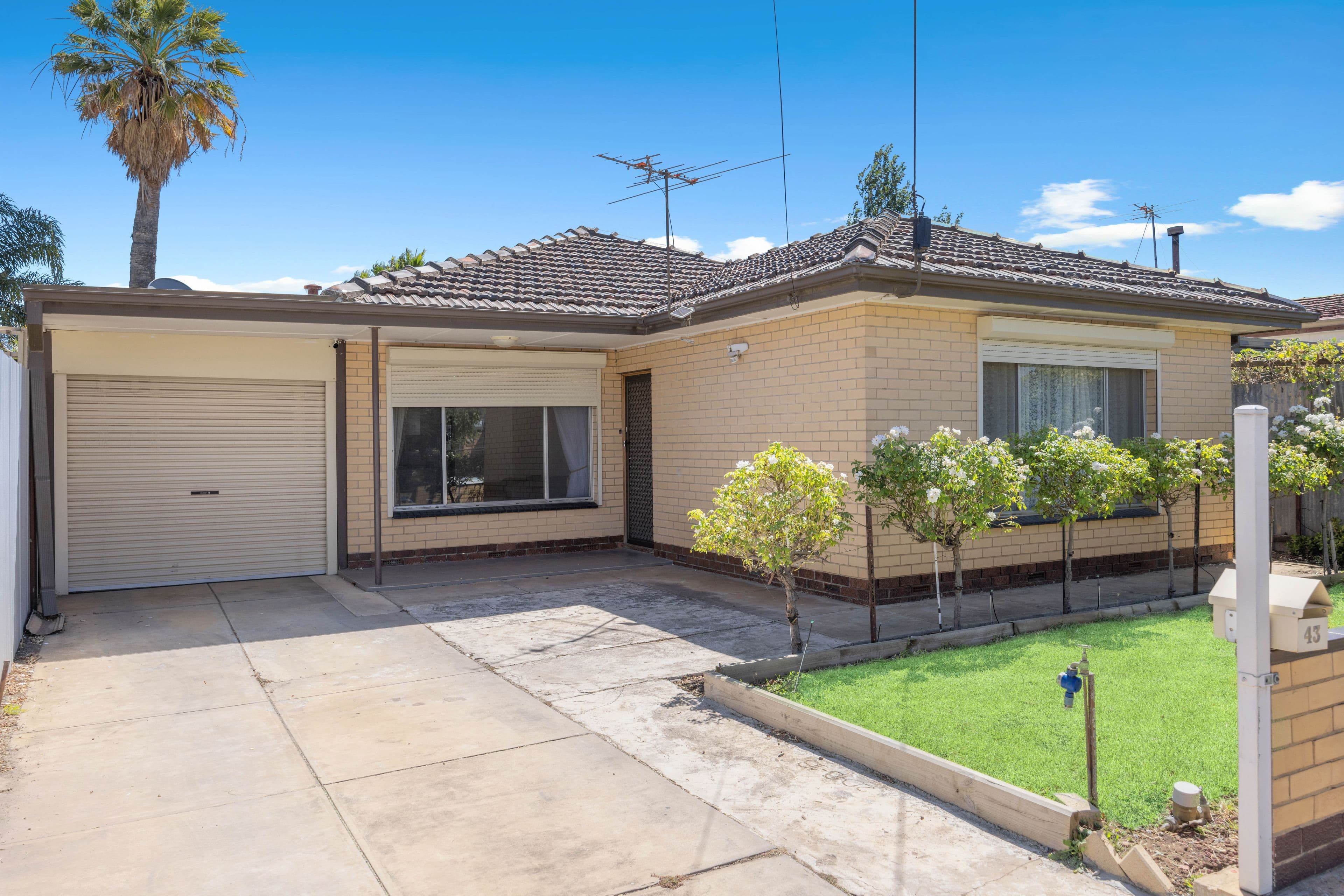 43 Florence Terrace, Rosewater SA 5013, Rosewater - Thumbnail 2