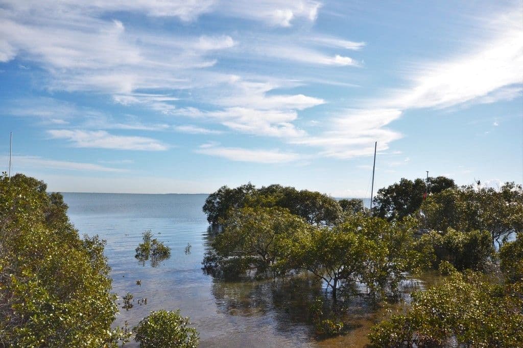 LOT168 - 61 Cavell Street, Birkdale QLD 4159, Birkdale - Thumbnail 3