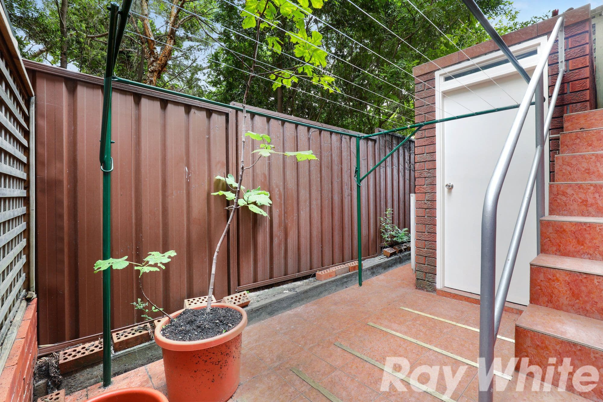 132 Wardell Road, Marrickville NSW 2204, Marrickville - Thumbnail 6