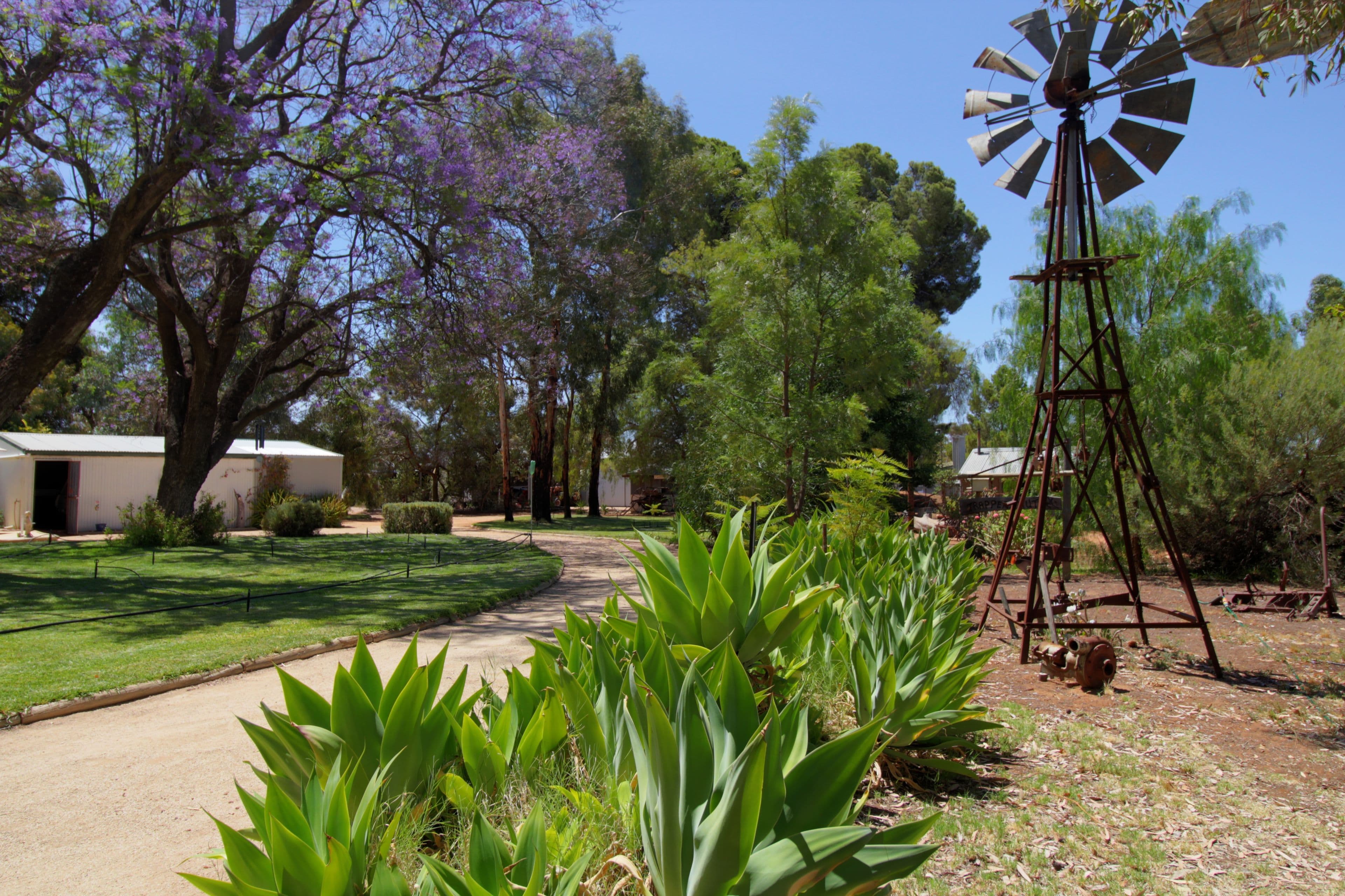 888 Thiele Road, Loveday SA 5345, Loveday - Image 1