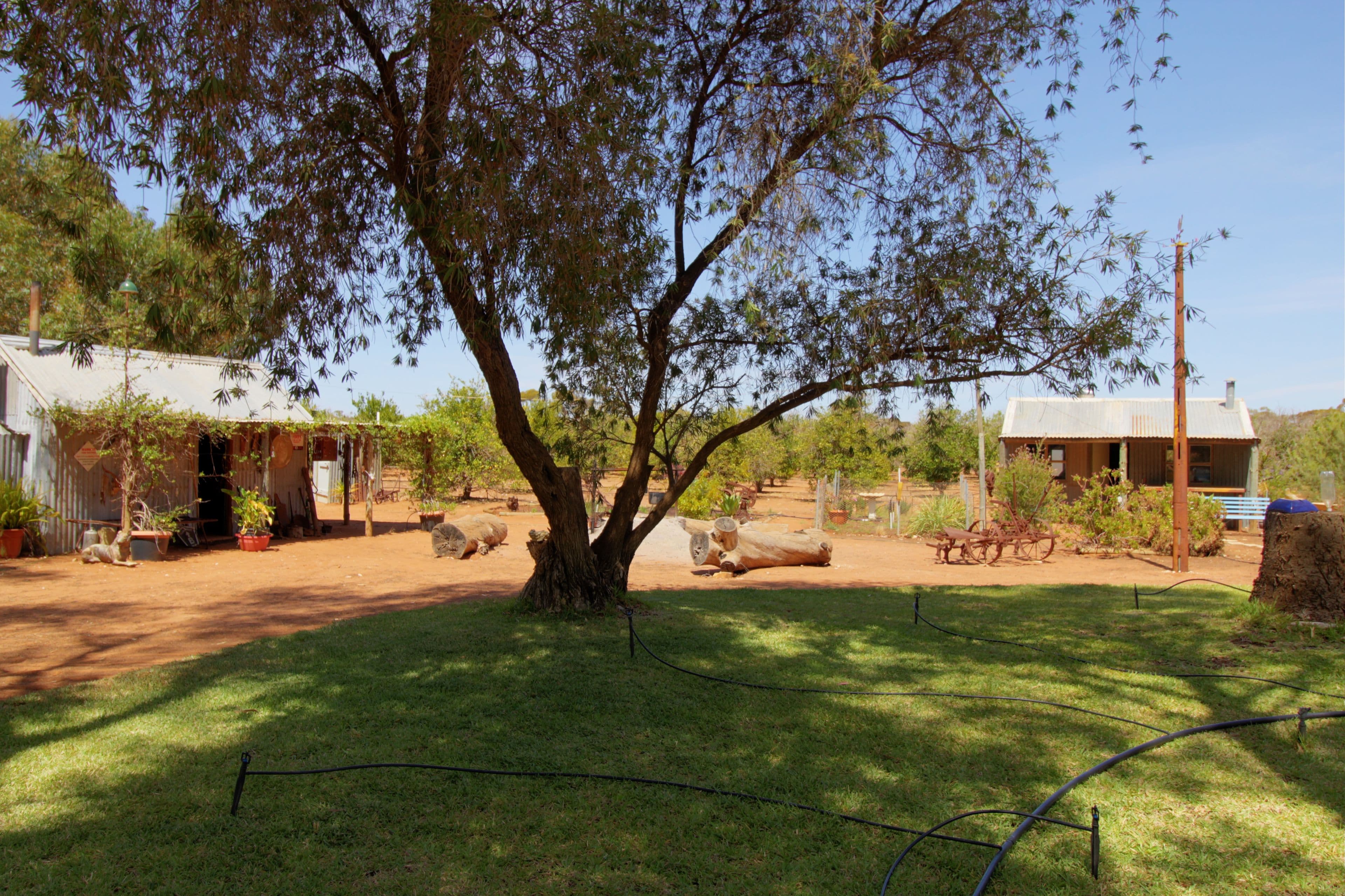 888 Thiele Road, Loveday SA 5345, Loveday - Thumbnail 7
