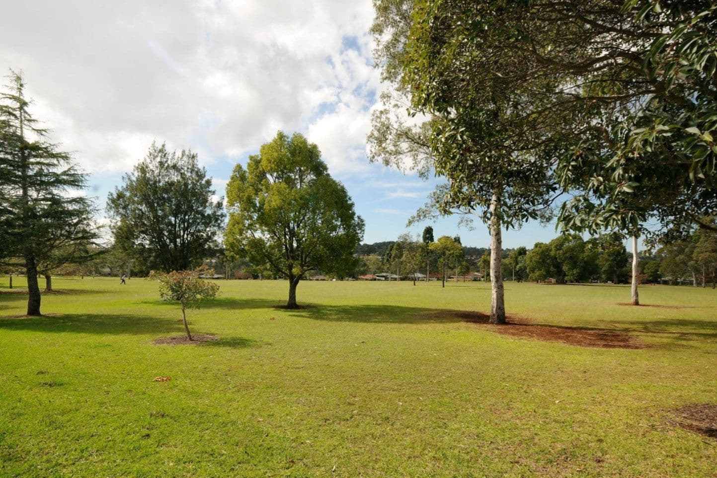 15 Rowe Street, CENTENARY HEIGHTS QLD 4350, Centenary Heights - Thumbnail 8