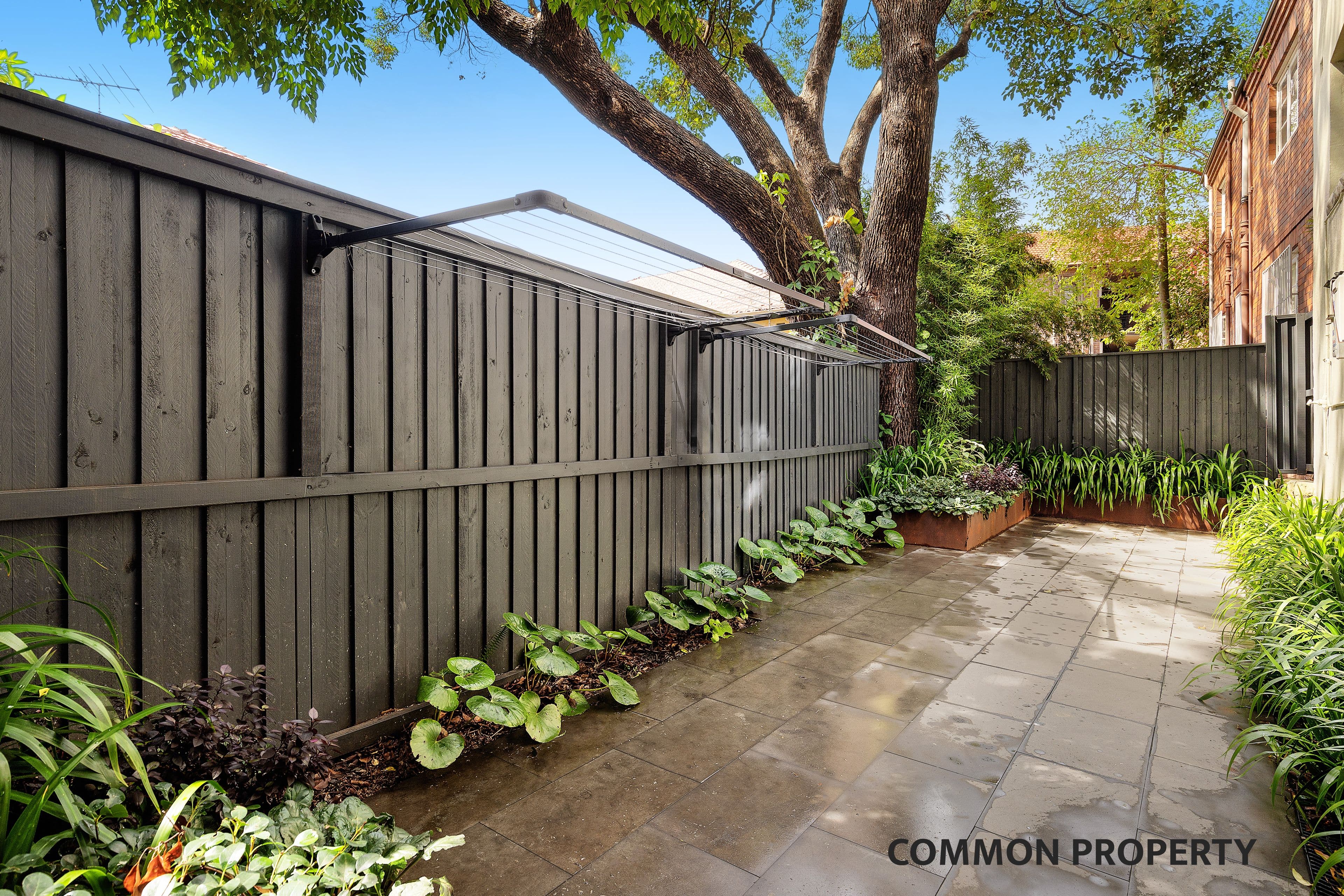 182 Glenmore Road, Paddington NSW 2021, Paddington - Thumbnail 7